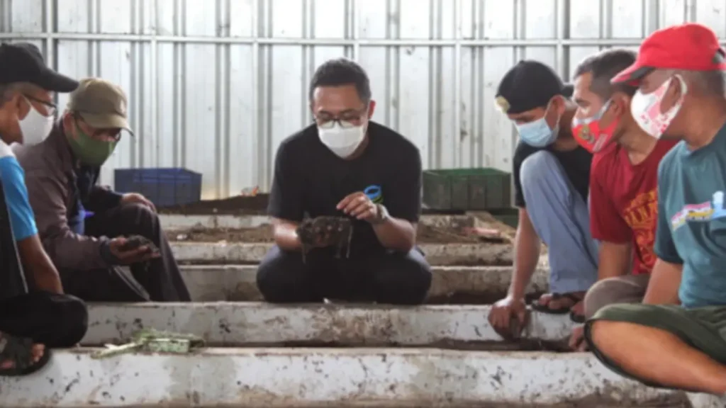 Budidaya-Maggot-1024x576 Arky Gilang Wahab Raih Penghasilan dan Manfaat Berlipat dari Sampah dan Maggot