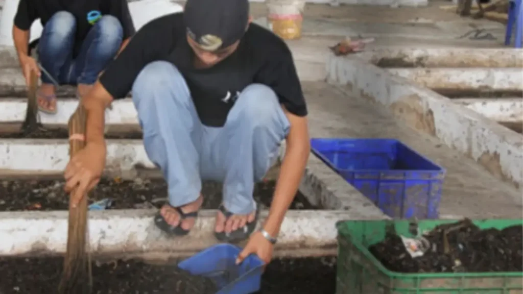 Maggot-1024x576 Arky Gilang Wahab Raih Penghasilan dan Manfaat Berlipat dari Sampah dan Maggot
